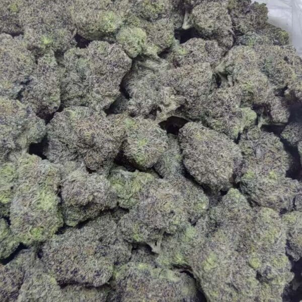 White Devil Runtz – Frosted Candy Gas Hybrid Strain