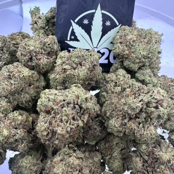 White Truffle - Indica-Dominant Hybrid Exotic Indoor