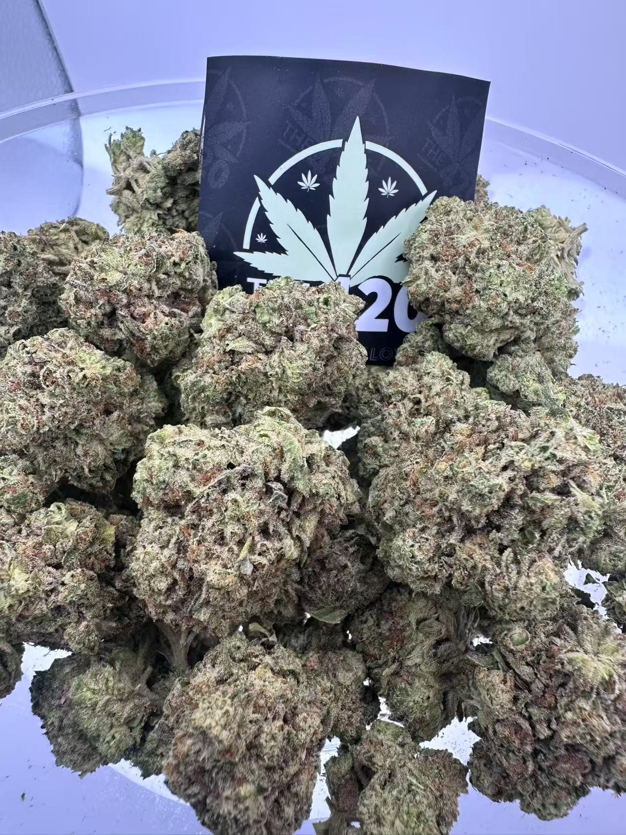 White-Truffle-Indica-Dominant-Hybrid-Exotic-Indoor-🔥-New-Batch-Just-Dropped.jpg White Truffle - Indica-Dominant Hybrid Exotic Indoor - Image 1