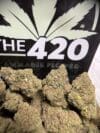 Sherbet Cake Strain – (Small Flower) | Hybrid THC 🔥 New Drop - Image 4