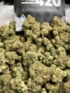 Monster Cookie – Indica-Dominant Hybrid - Image 4