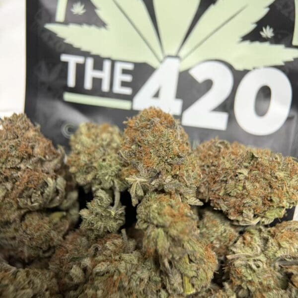 Birthday Cake - Hybrid