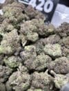 Gaviar Gumbo Strain – Premium Exotic Indica-Dominant Hybrid - Image 2