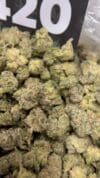 GG4 Premium Indoor Flower Hybrid 🔥 New Drop - Image 3