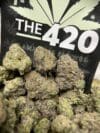 Runtz Zooshi – Exotic Balanced Hybrid Strain 🔥 New Drop