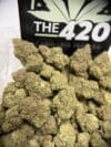 Sherbet Cake Strain – (Small Flower) | Hybrid THC 🔥 New Drop - Image 2