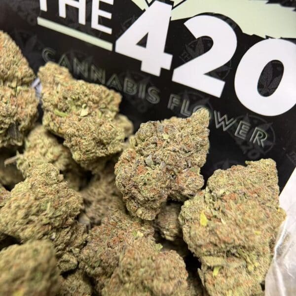 Sherbet Cake Strain – (Small Flower) | Hybrid THC 🔥 New Drop