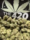 Strawberry Lemonade Strain (Small Flower) | Sativa-Dominant Hybrid - Image 2