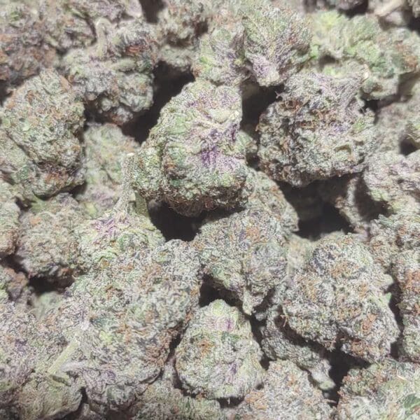 White Runtz – Exotic Hybrid Cannabis Flower 🔥 New Drop