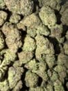 Candy X– Premium Hybrid Cannabis 🔥 New Drop
