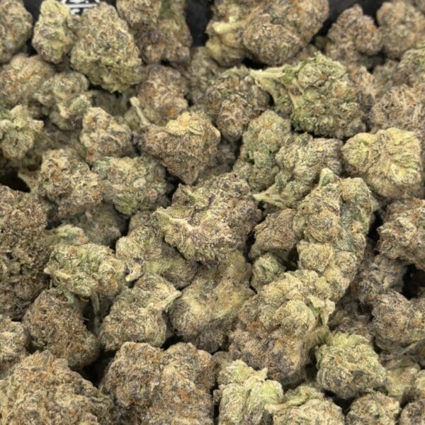 Pinter Marker - Exotic Hybrid Cannabis Flower 🔥 New Batch
