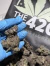Candy Gas | Premium Cannabis Flower | Hybrid - Image 2
