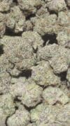 Pink Runtz – Balanced Hybrid (Premium Indoor) 🔥 New Batch