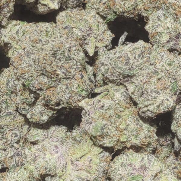Pink Runtz – Balanced Hybrid (Premium Indoor) 🔥 New Batch