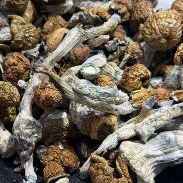 Mckilla Shroom | Premium Mushroom Product 🔥 NEW DROP