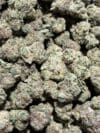 Gelonade | Premium Sativa-Dominant Cannabis Flower 🔥 New Drop - Image 2