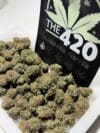 Birthday Cake | Premium Indica-Dominant Cannabis Flower 🔥 New Drop - Image 2