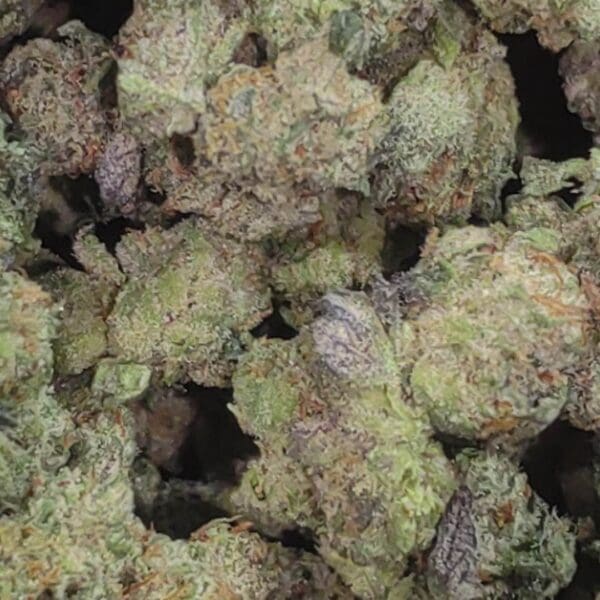 Gas OG (Small Flowers) - Indica-Dominant Hybrid 🔥 New Drop