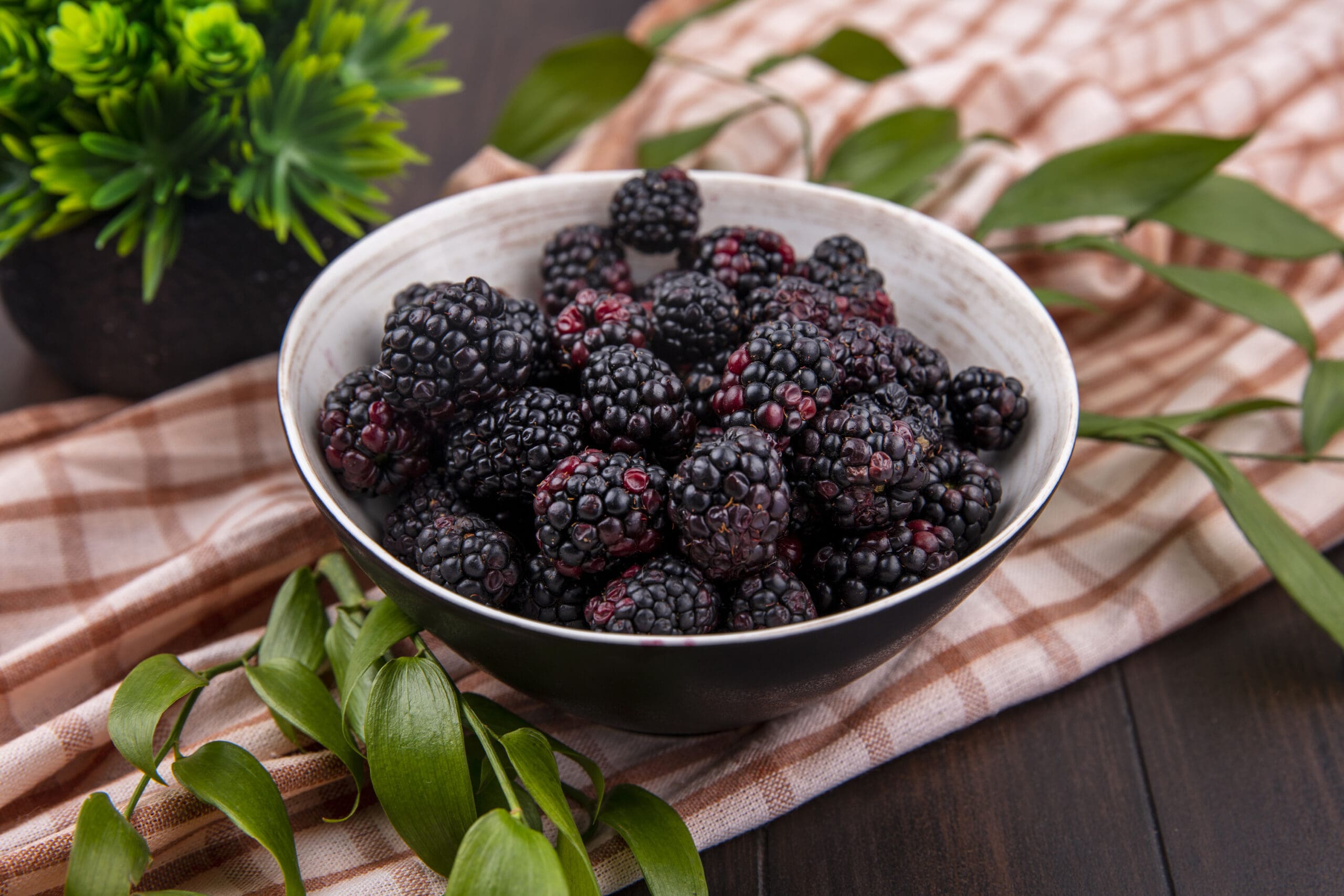 Blackberry
