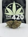 Bold Runtz | Premium Hybrid Cannabis Flower