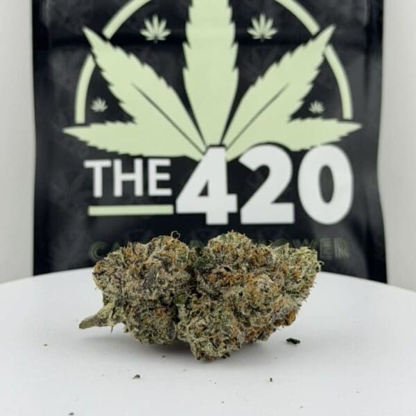 Bold Runtz | Premium Hybrid Cannabis Flower