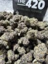 Lemon Cherry Gelato | Premium Hybrid Flower