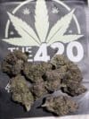 Lemon Cherry Gelato | Premium Hybrid Flower - Image 4