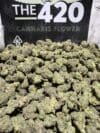 Lemon Cherry Sherbert | Hybrid Premium Cannabis Flower (Medium)🔥 New Drop