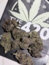Lemon Cherry Gelato | Premium Hybrid Flower - Image 3