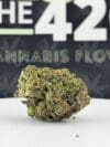 Italian Ice | Premium Hybrid Cannabis Flower🔥 New Drop
