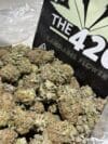 Biscotti | Indica-Dominant Hybrid Premium Cannabis Flower 🔥 New Drop - Image 2