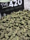 Lemon Cherry Sherbert | Hybrid Premium Cannabis Flower (Medium)🔥 New Drop - Image 2