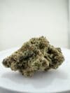 Gelato Gumbo | Premium Indica-Dominant Hybrid Cannabis Flower | 🔥 NEW DROP