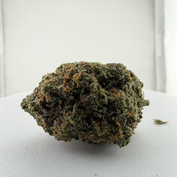 G41 | Premium Hybrid Cannabis Flower | 🔥 NEW DROP