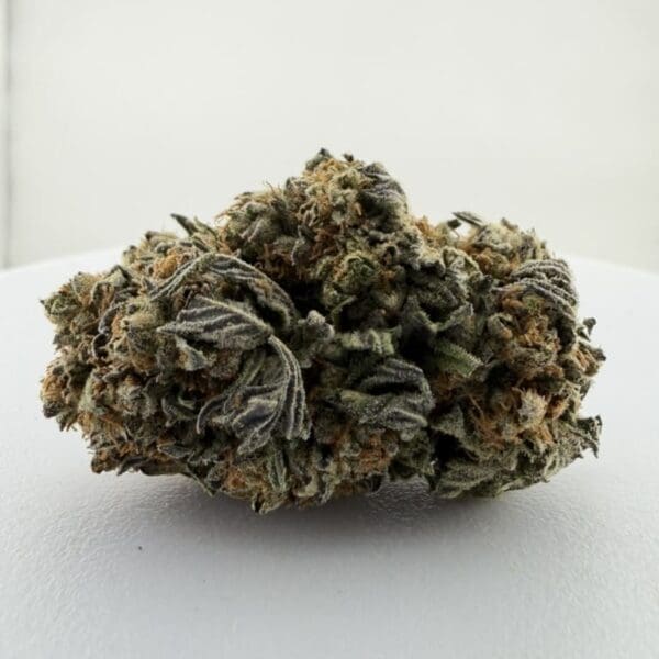 Gelato King | Premium Hybrid Cannabis Flower🔥 New Drop