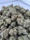 Mochi | Premium Hybrid Cannabis Flower | 🔥 NEW DROP - Image 3