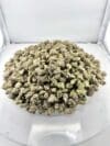 Strawberry Cough Smalls – Sativa Cannabis Flower 🔥 New Drop - Image 2