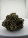 Candy Gas | Premium Hybrid Cannabis Flower 🔥 NEW DROP