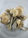 Thrasher | Premium Mushroom Product | 🔥 NEW DROP - Image 4