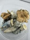 Penis Envy | Premium Mushroom Product | 🔥 NEW DROP - Image 3