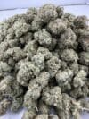 GG4 | Premium Hybrid Cannabis Flower 🔥 NEW DROP - Image 3