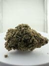 Lemon Haze | Premium Sativa Cannabis Flower 🔥 NEW DROP