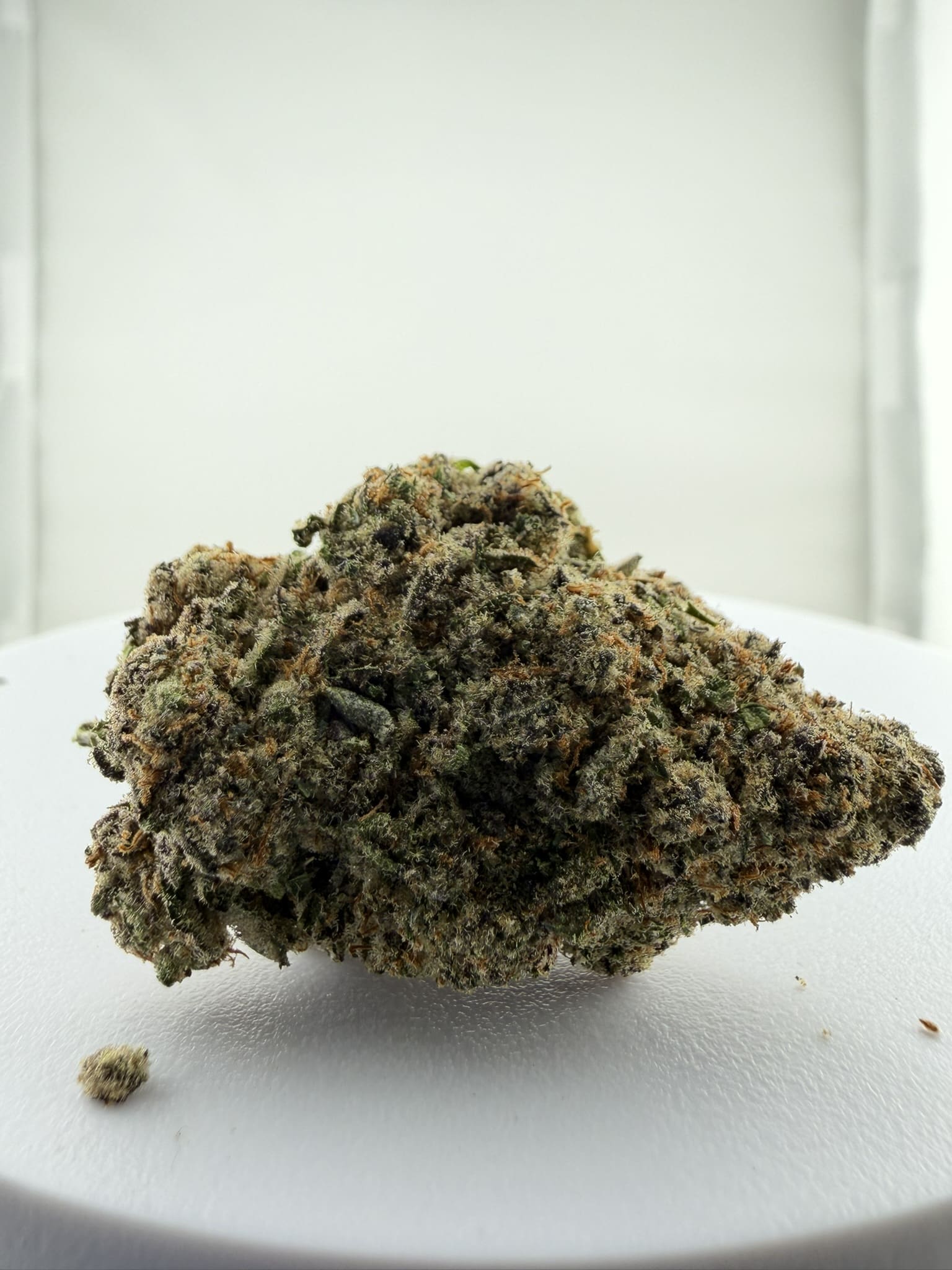797DC871-748C-47A7-B697-5B70AF3C2B9D_1_102_o.jpeg Lemon Haze | Premium Sativa Cannabis Flower π₯ NEW DROP - Image 1