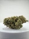 Oreo Cookie | Premium Indica-Dominant Hybrid Cannabis Flower 🔥 NEW DROP | Weekly Deals