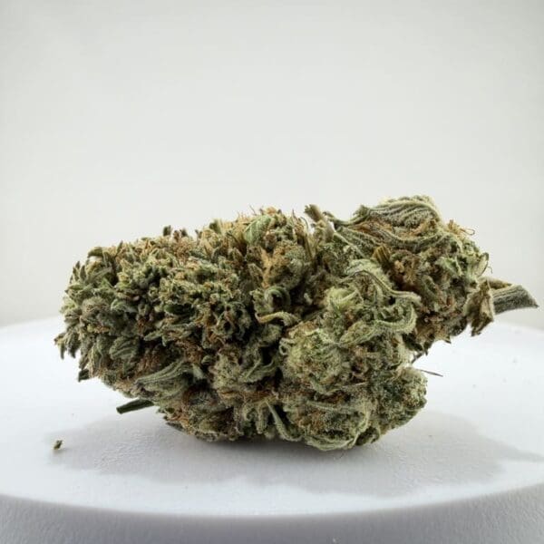 Oreo Cookie | Premium Indica-Dominant Hybrid Cannabis Flower 🔥 NEW DROP | Weekly Deals