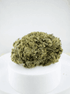 Creamy Gelato | Premium Hybrid Cannabis Flower 🔥 NEW DROP