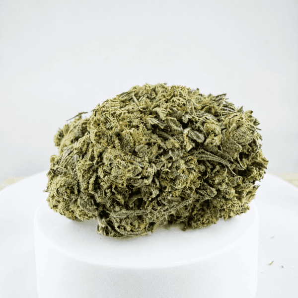 Creamy Gelato | Premium Hybrid Cannabis Flower 🔥 NEW DROP