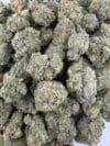 Creamy Gelato | Premium Hybrid Cannabis Flower 🔥 NEW DROP - Image 2