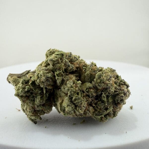 GUSMINTS | Premium Hybrid Cannabis Flower 🔥 NEW DROP