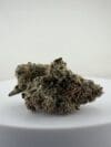 RAINBOW RUNTZ | Premium Hybrid Cannabis Flower 🔥 NEW DROP
